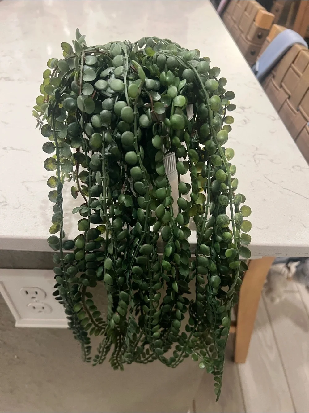 Faux Green Trailing Potted Plant